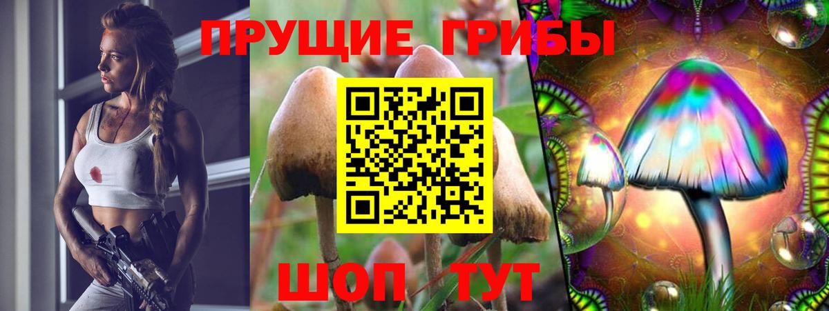 МЕТАМФЕТАМИН  Лесосибирск  ГАШ  Кокаин  ГАШИШ  Вейп ТГК  Меф МЯУ МЯУ кристаллы  Канабис  APVP СОЛЬ кристаллы  Вход с VPN 