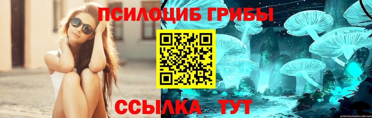 Галлюциногенные грибы мицелий  Вход с VPN  Лесосибирск 